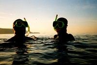 [Sea diving in the bay]